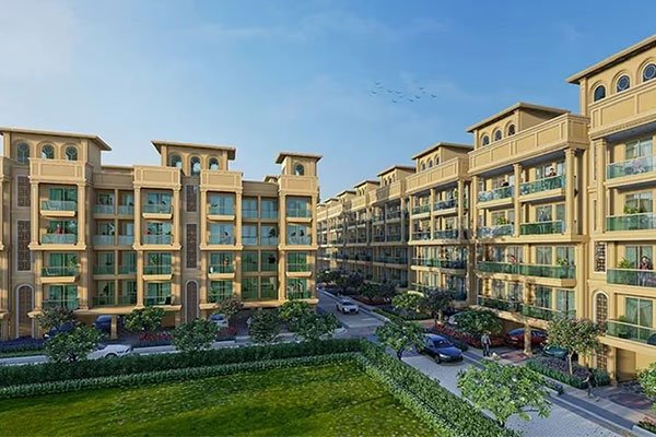 Signatue Global Titanium